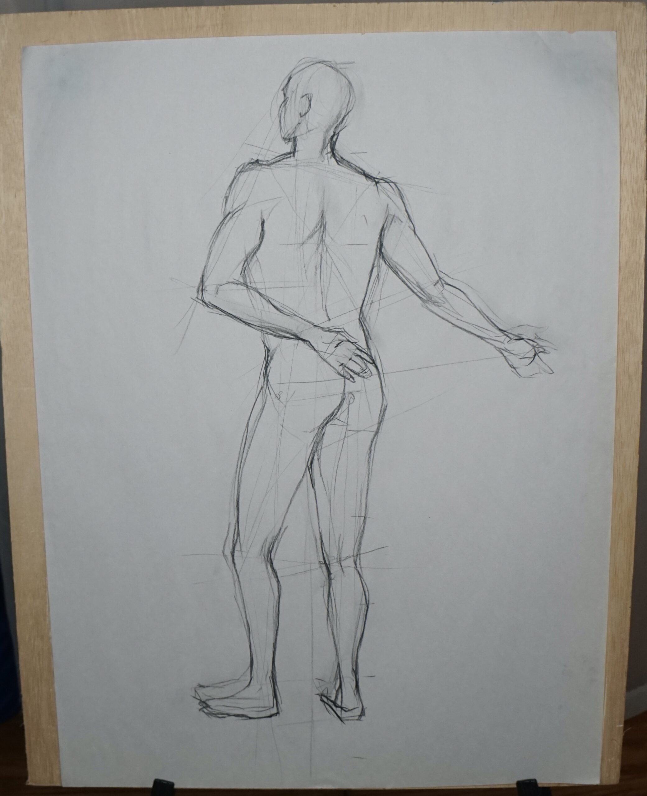 Contour Male Back